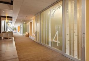 Healthcare design with nature in mind