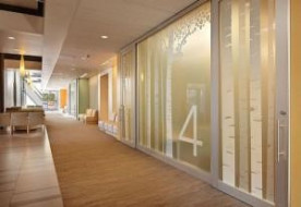 Healthcare design with nature in mind