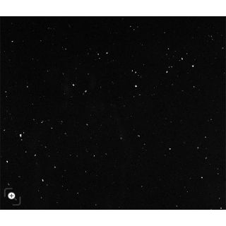 Starry Black