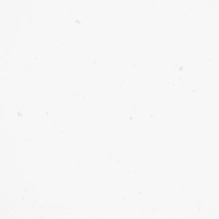 Perla White - P-113