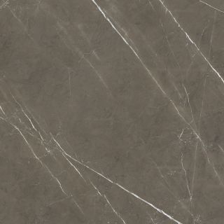 Pulpis P019 Silk