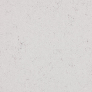 COLLECTION VEINED CANOVA