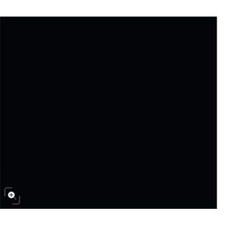 Absolute Black